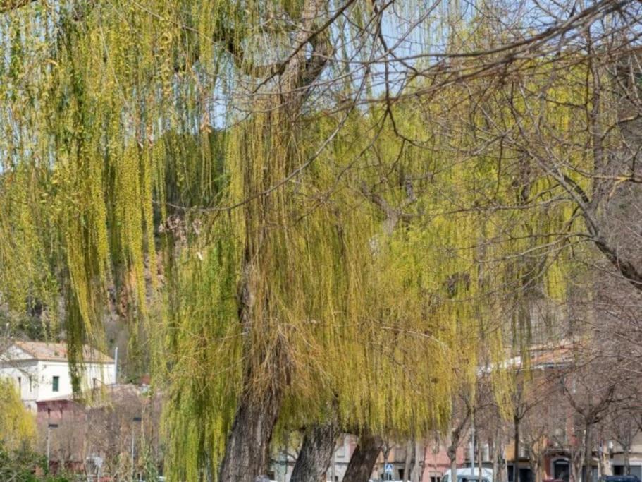 Acogedor Apartamento Cerca Del Casco Antiguo Жирона Экстерьер фото